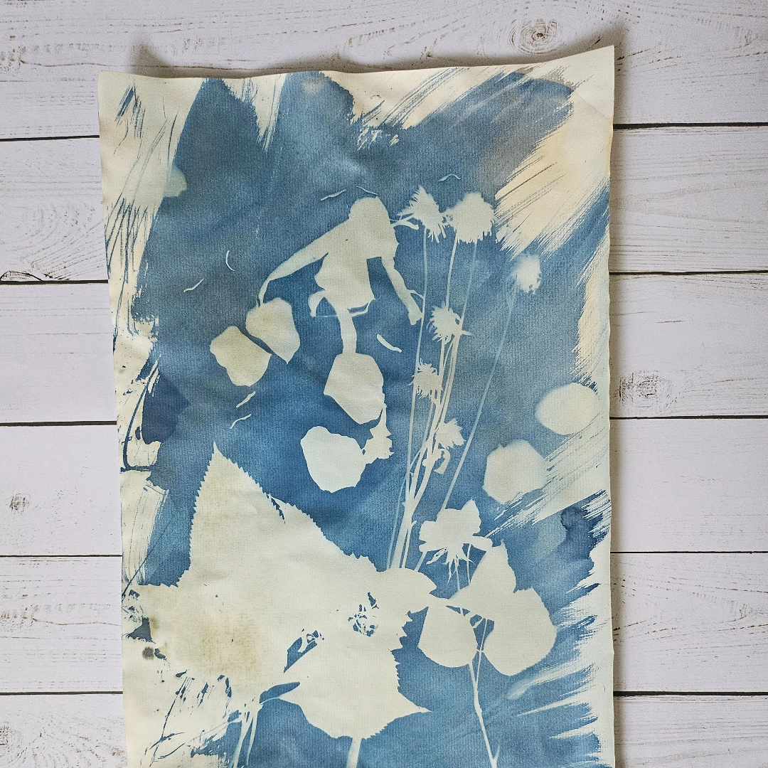 'Memory Of __' (11x17) Cyanotype Print